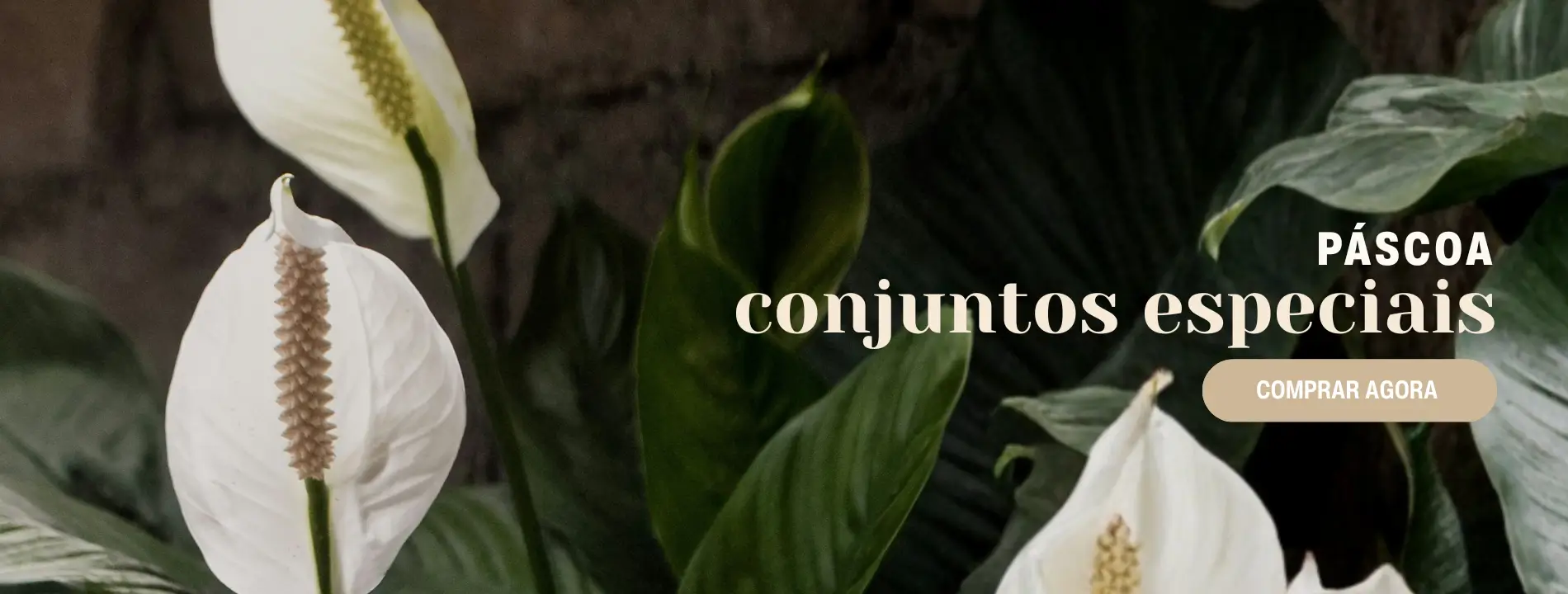 A Natureza Viva em Sua Casa