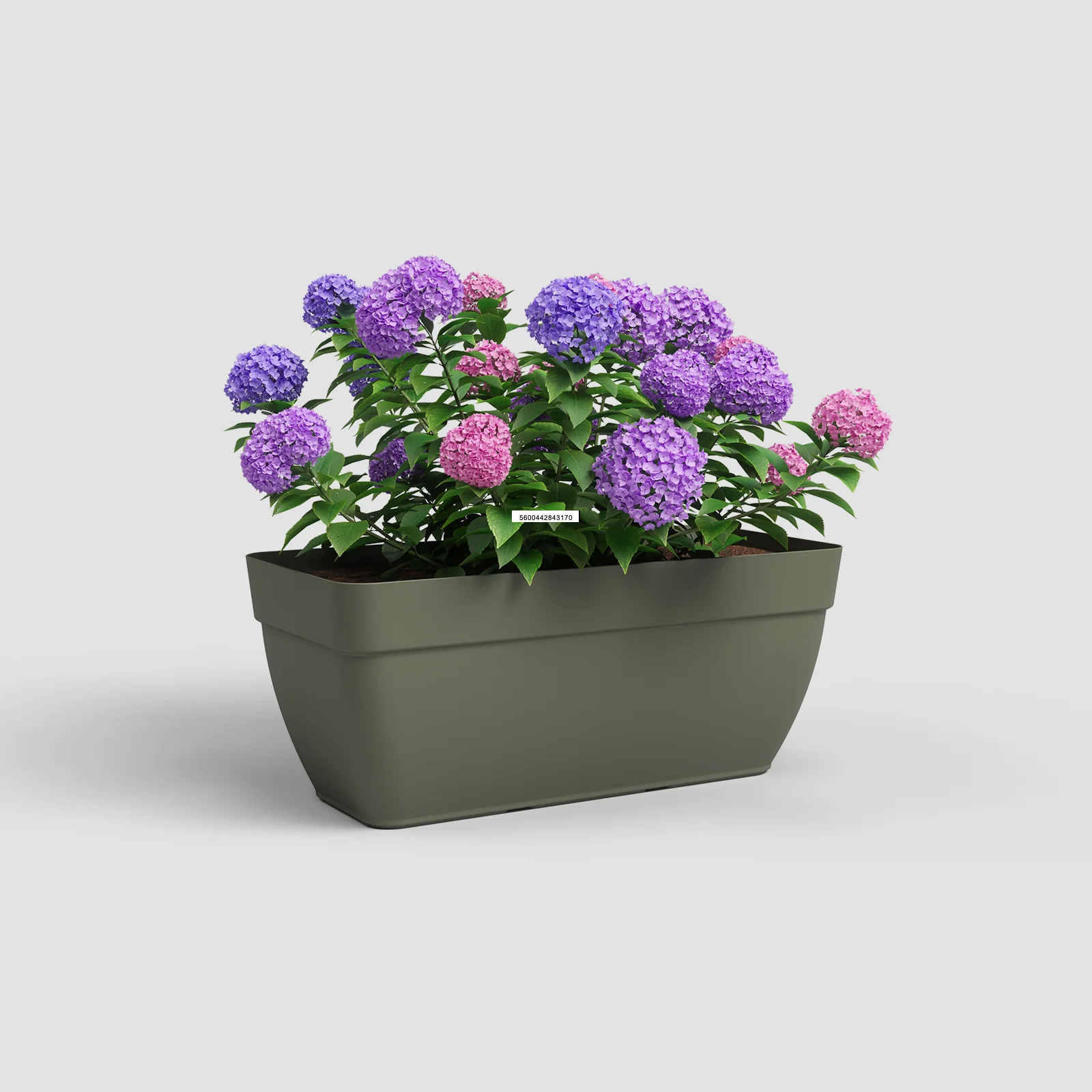 Imagem do produto 10