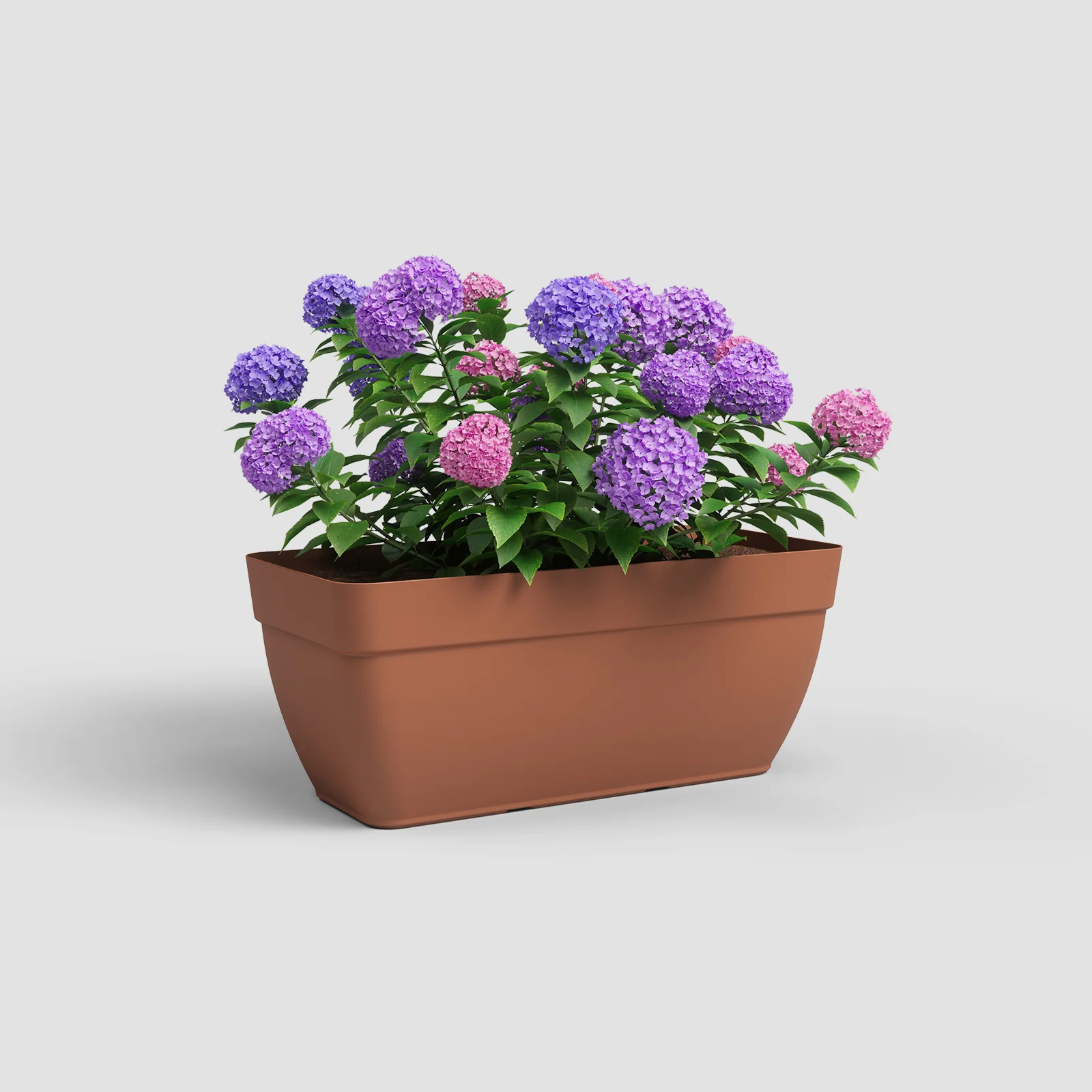 Imagem do produto 11