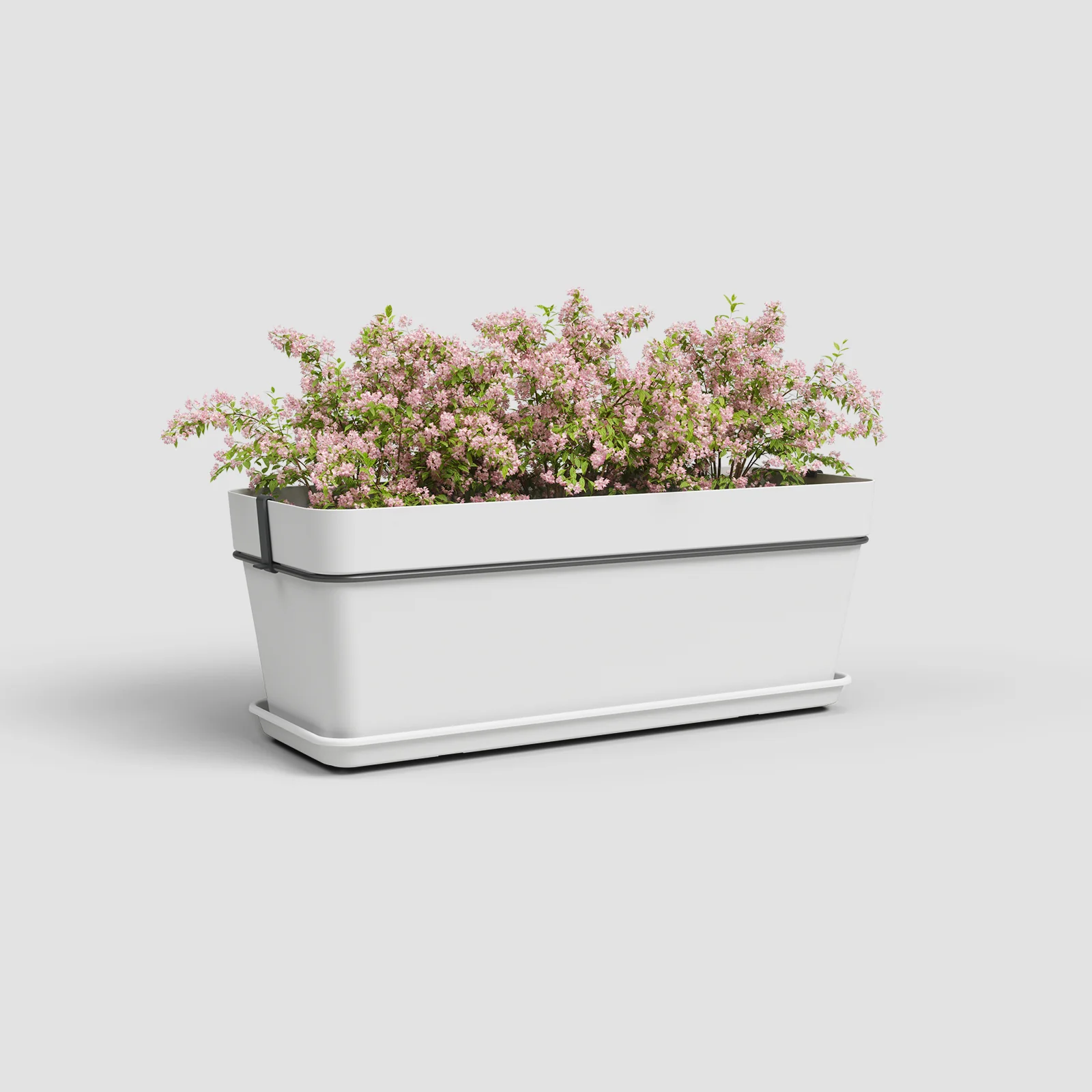 Imagem do produto 10