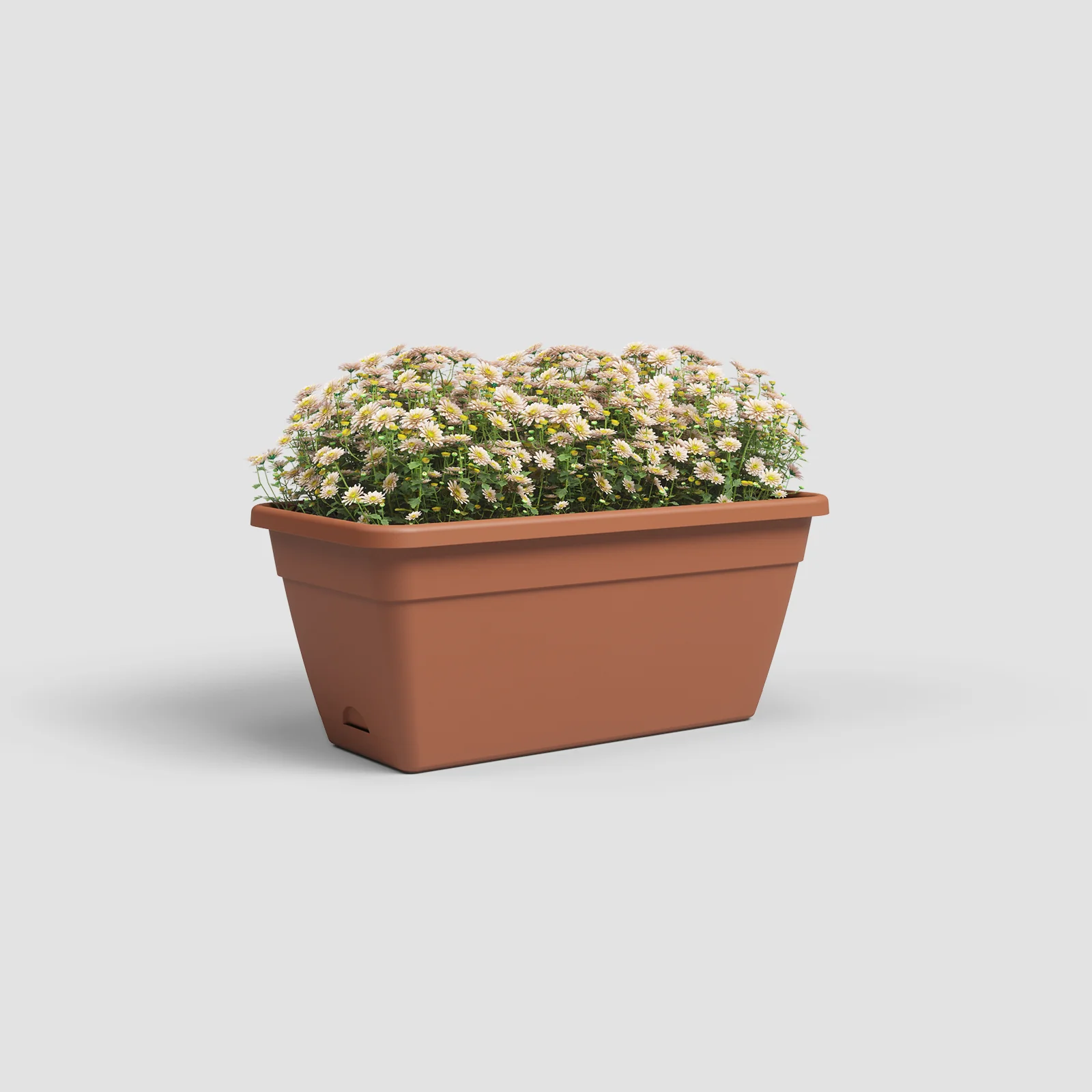 Imagem do produto 11