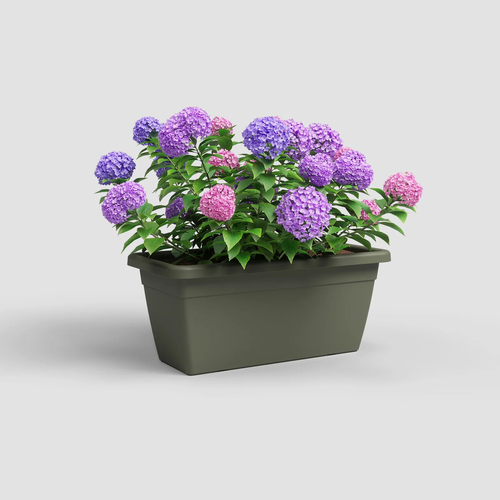 Imagem do produto 10