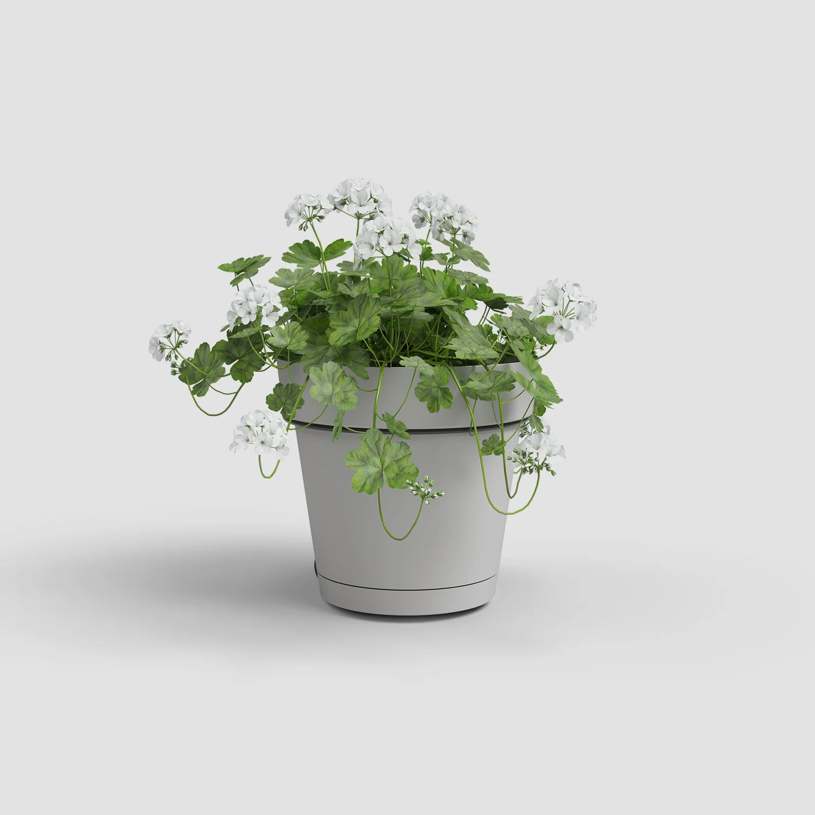 Imagem do produto 10