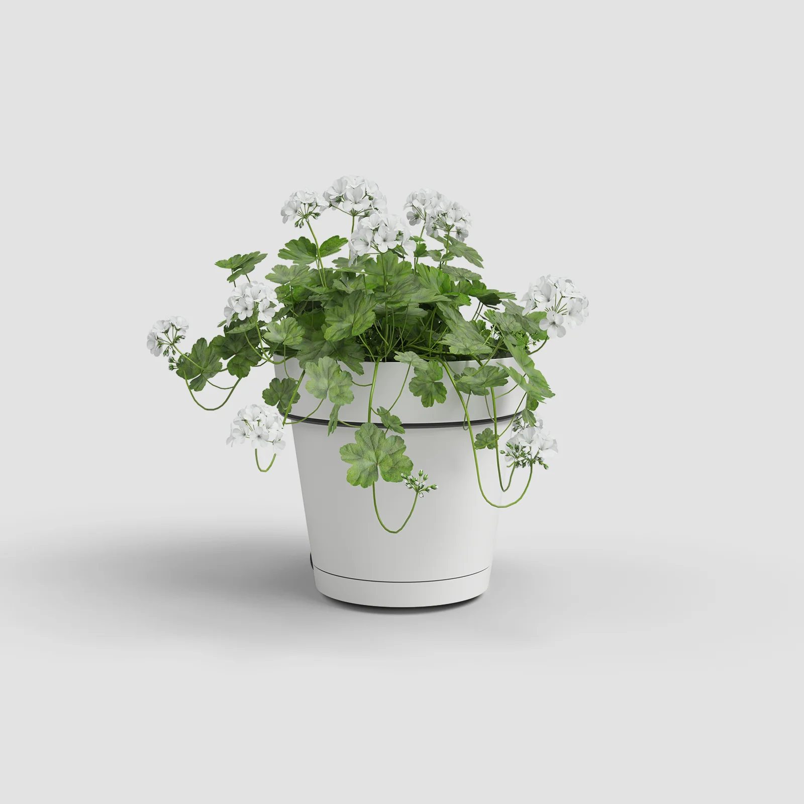 Imagem do produto 11