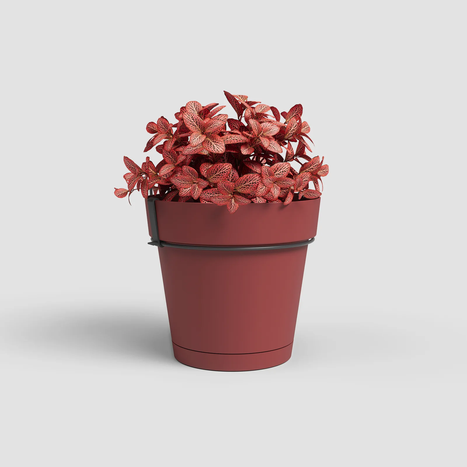 Imagem do produto 10