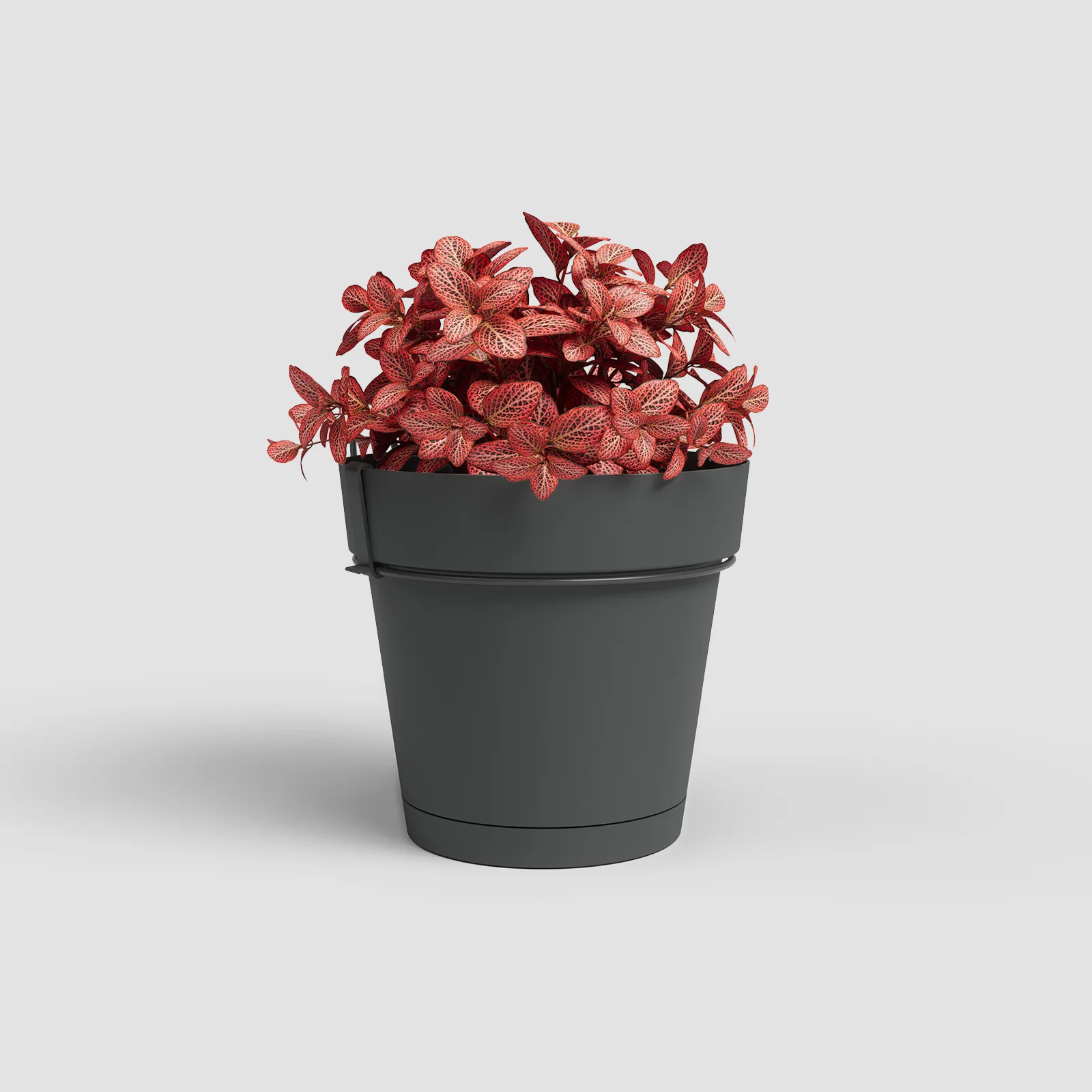 Imagem do produto 11