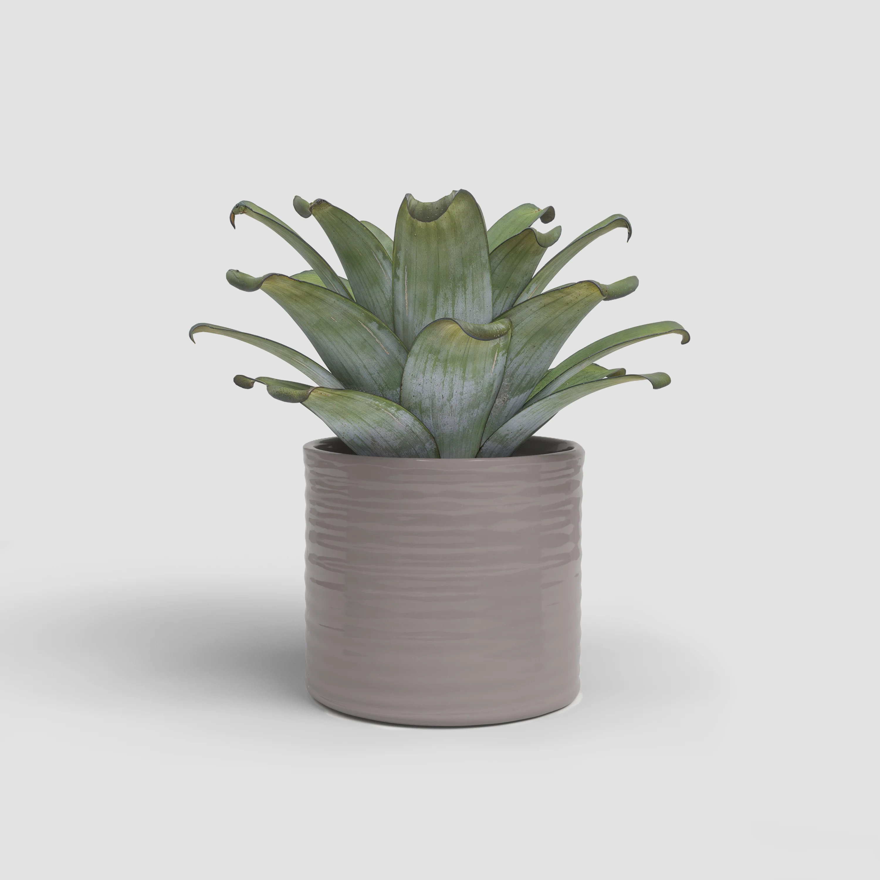 Imagem do produto 10