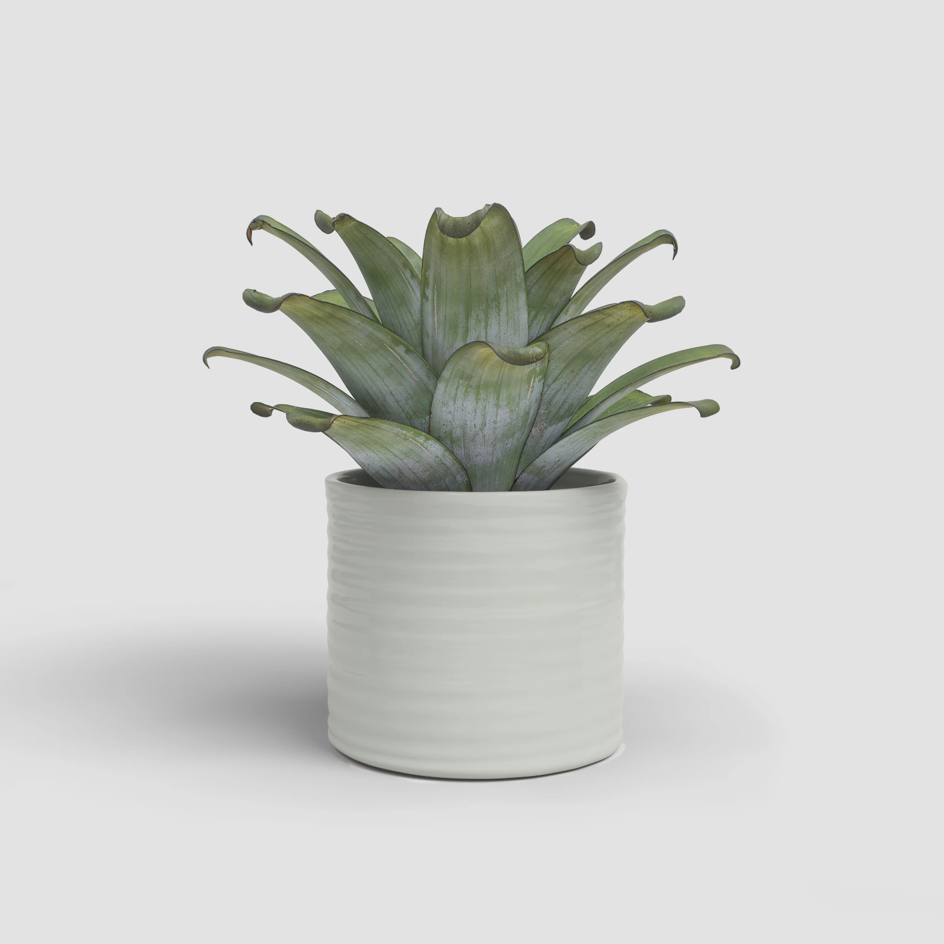 Imagem do produto 11