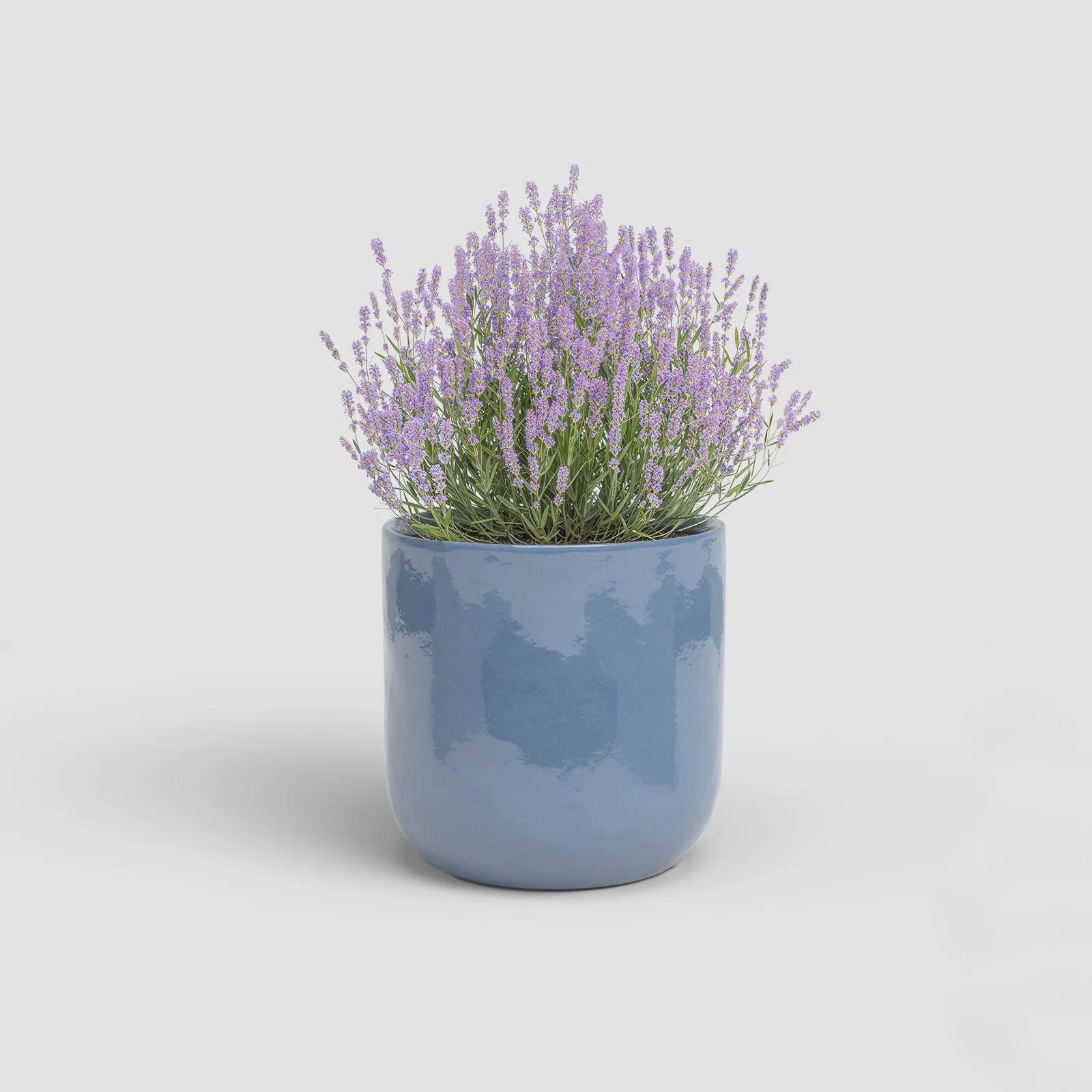 Imagem do produto 10