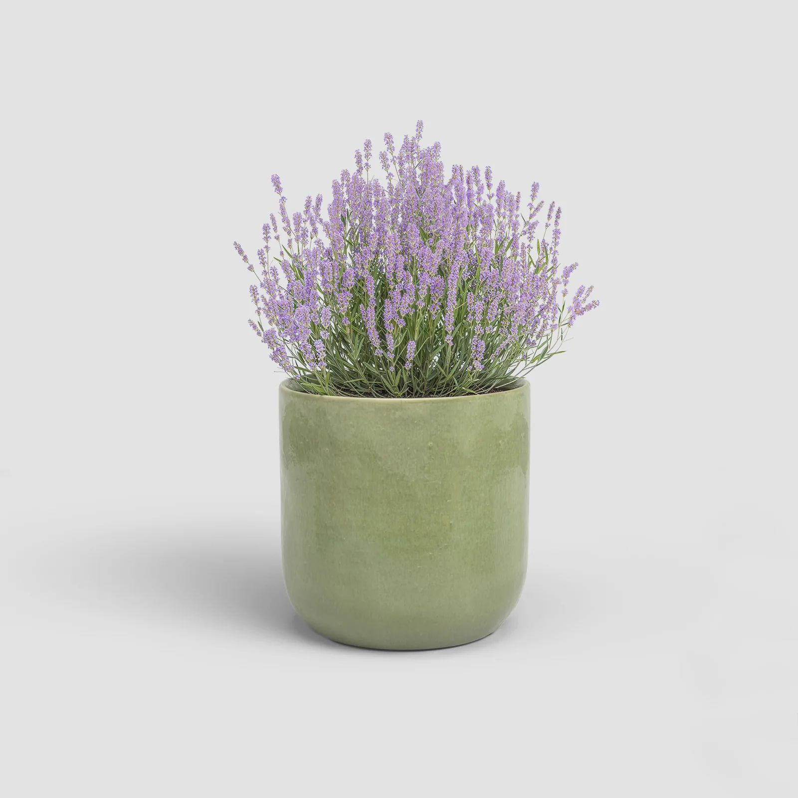 Imagem do produto 11