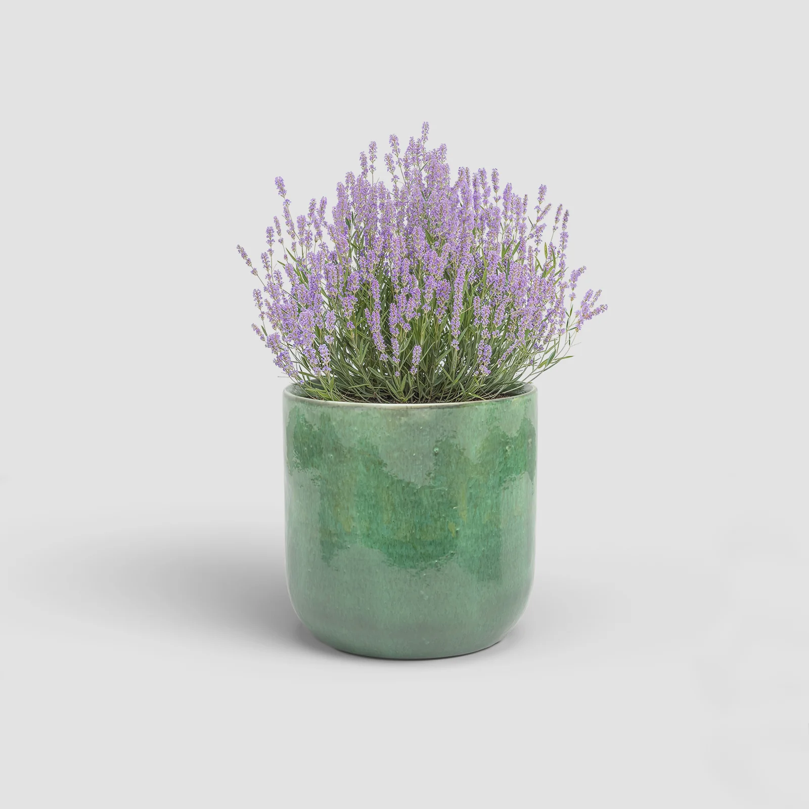 Imagem do produto 12