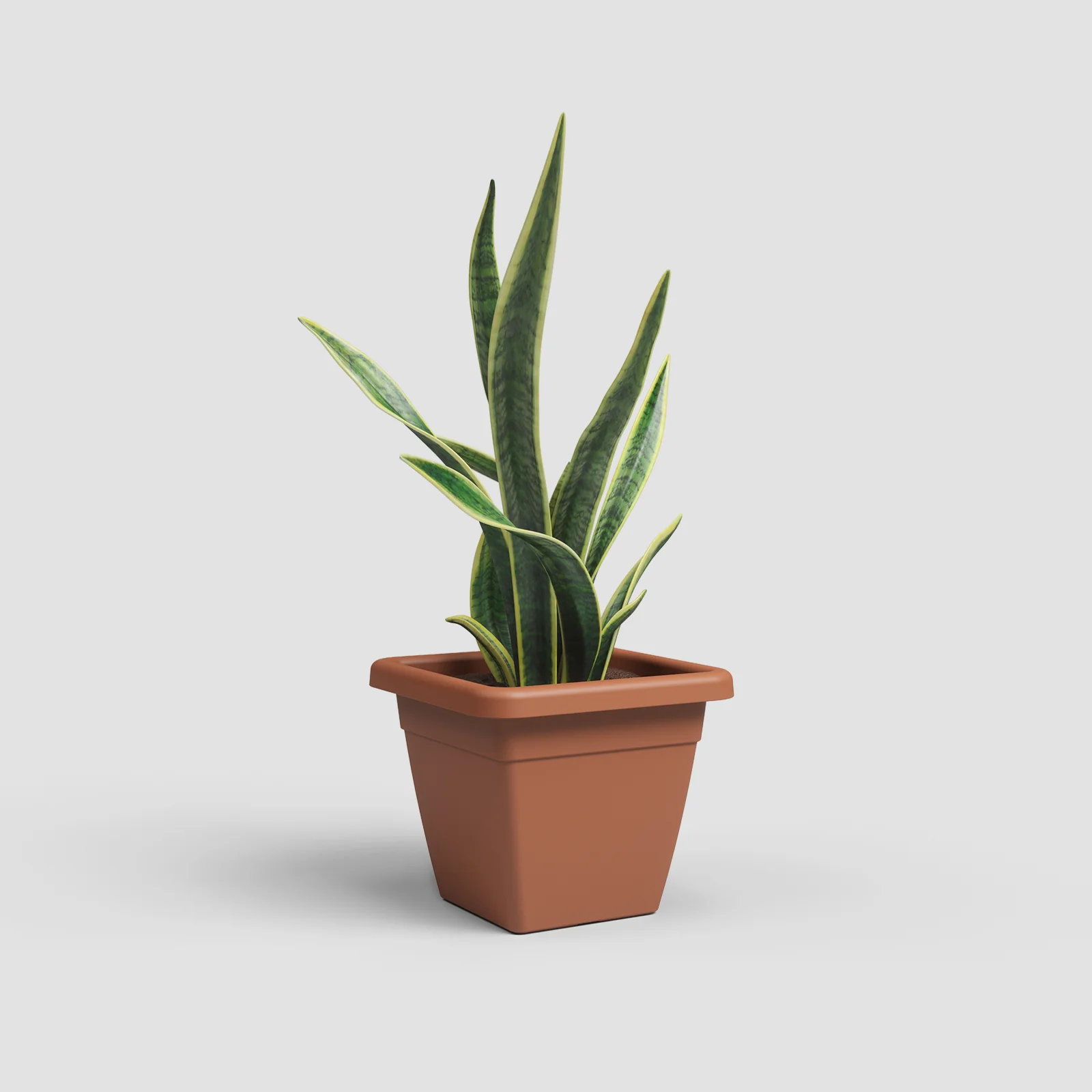 Imagem do produto 10